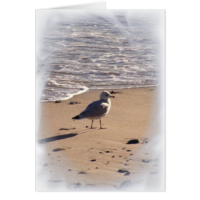 Lkes Long Walks op het strand... (Voorkant)