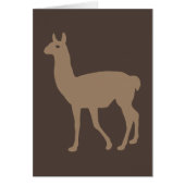 Llama (Voorkant)