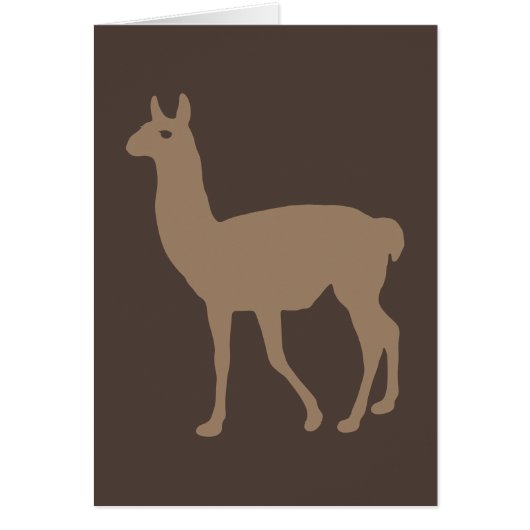 Llama (Voorkant)