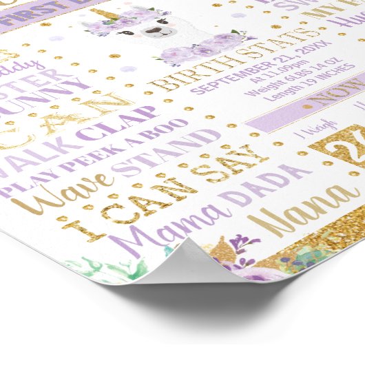 Llama 1st Birthday Milestone Birth Stats Floral Poster (Hoek)