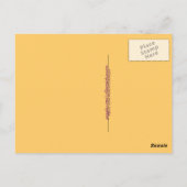 Llama: 3 zwart-wit lam briefkaart (Achterkant)