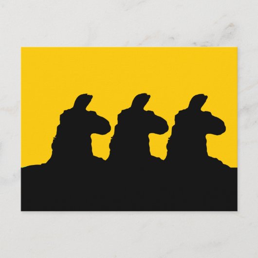 Llama: 3 zwart-wit lam briefkaart (Voorkant)