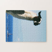 Llama aan Lands End, Cornwall Legpuzzel (Horizontaal)
