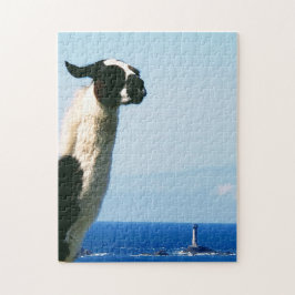 Llama aan Lands End, Cornwall Legpuzzel