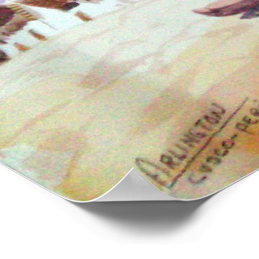 Llama Afbeelding Cuzco Peru Poster (Hoek)