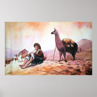 Llama Afbeelding Cuzco Peru Poster