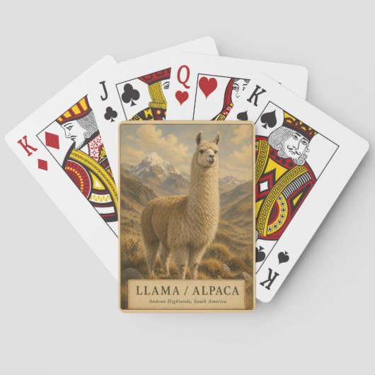 Llama Alpaca Andes ANTIQUA Pokerkaarten (Achterkant)