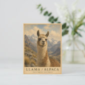 Llama Alpaca Andes VINTAGE Briefkaart (Staand voorkant)