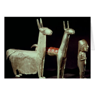 Llama, alpaca en vrouw