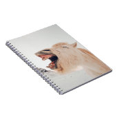 LLAMA ALPACA-LAUGHING VERSNELD NOTITIEBOEK (Rechterzijde)