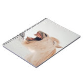 LLAMA ALPACA-LAUGHING VERSNELD NOTITIEBOEK (Linkerzijde)