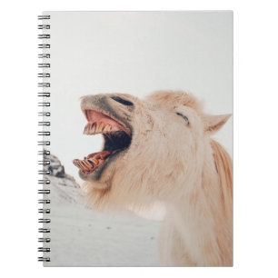 LLAMA ALPACA-LAUGHING VERSNELD NOTITIEBOEK