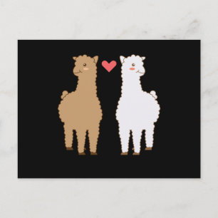 Llama Alpaca Llama's Alpaca's Zoet Dierendesign Briefkaart