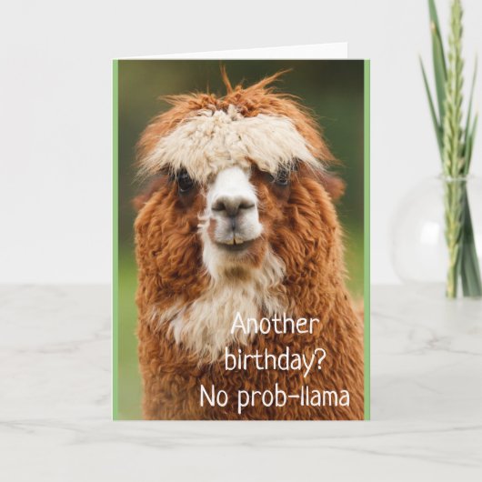 Llama Alpaca No Prob-llama Birthday Kaart (Voorkant)