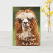 Llama Alpaca No Prob-llama Birthday Kaart (Gele Bloem)