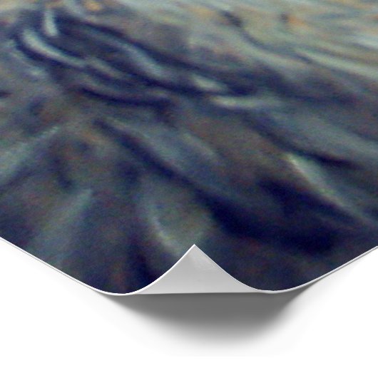 LLAMA, ALPACA, VICUNA!! POSTER (Hoek)