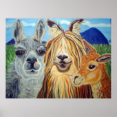 LLAMA, ALPACA, VICUNA!! POSTER (Voorkant)