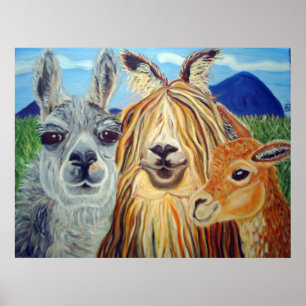 LLAMA, ALPACA, VICUNA!! POSTER