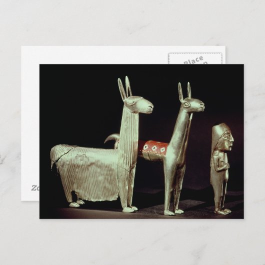 Llama, alpiaca en vrouw briefkaart (Voorkant / Achterkant)