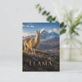 Llama Andeshooglanden DIEREN Briefkaart (Staand voorkant)