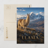 Llama Andeshooglanden DIEREN Briefkaart (Voorkant / Achterkant)