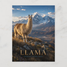 Llama Andeshooglanden DIEREN