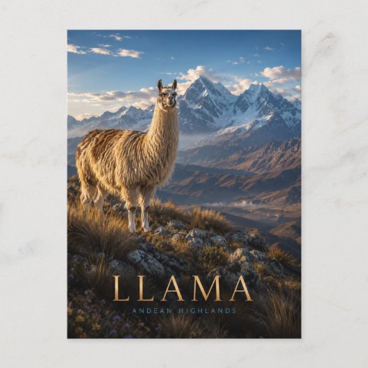 Llama Andeshooglanden DIEREN Briefkaart (Voorkant)