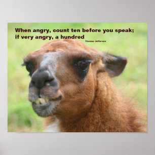 Llama Anger Quote Inspirerend Poster