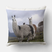 Llama Animal Custom Destiny's Destiny Kussen (Achterkant)