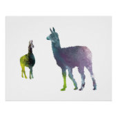 Llama art perfect poster (Voorkant)
