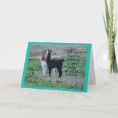 Llama Baby Kaart (Voorkant)
