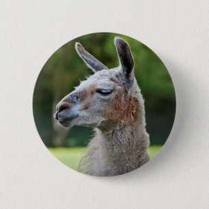 Llama-badge Ronde Button 5,7 Cm