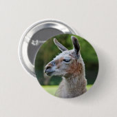 Llama-badge Ronde Button 5,7 Cm (Voorkant /achterkant)
