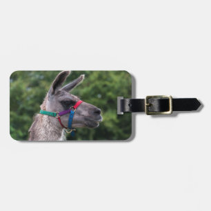Llama Bagagelabel