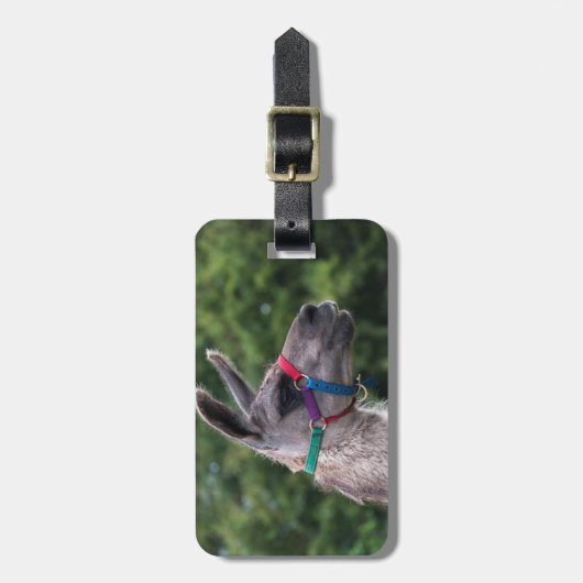 Llama Bagagelabel (Voorkant verticaal)
