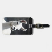 Llama-Bagagelabel glimlachen Bagagelabel (Voorkant horizontaal)