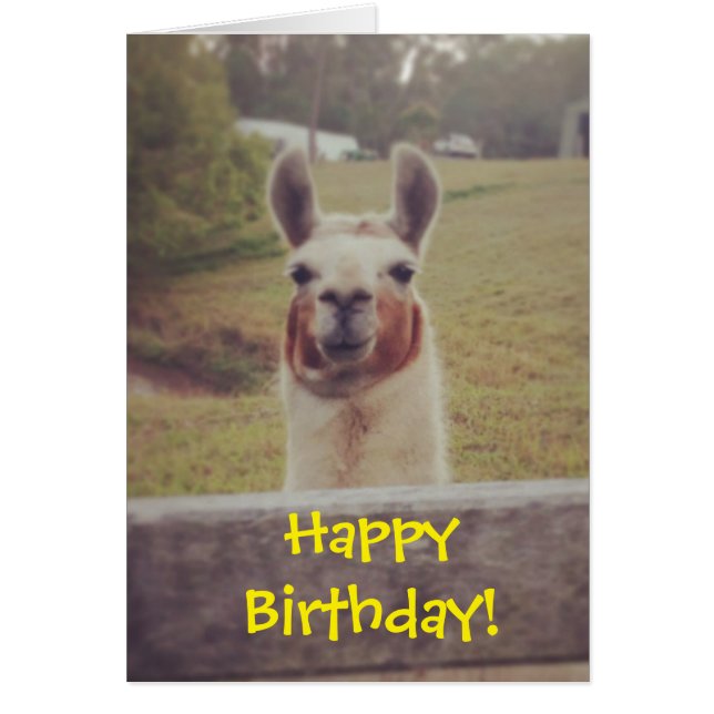 Llama Birthday Card (Voorkant)