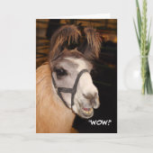 Llama Birthday Card Kaart (Voorkant)