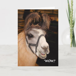 Llama Birthday Card Kaart