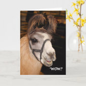 Llama Birthday Card Kaart (Gele Bloem)