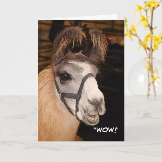 Llama Birthday Card Kaart (Gele Bloem)
