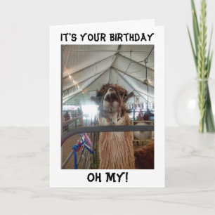 LLAMA BIRTHDAY CARD KRIJGEN ME UIT!! KAART
