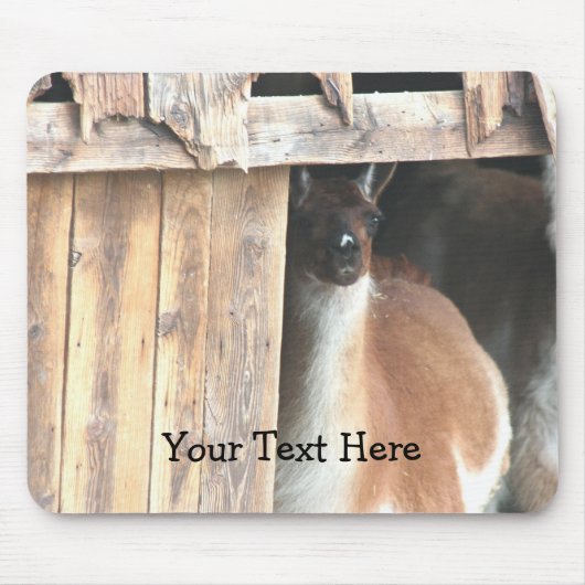  Llama Boerderij Animal Mousepad Muismat (Voorkant)