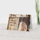 Llama Boerderij Animal Personalized Birthday Kaart (Voorkant)