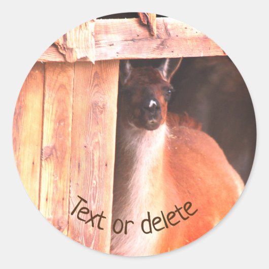  Llama Boerderij Dierlijk aangepast Ronde Sticker (Voorkant)