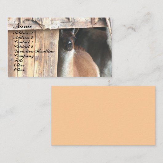  Llama Boerderij Dierlijk Visitekaartje (Voorkant / Achterkant)