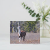 Llama Briefkaart (Staand voorkant)