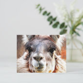 Llama Briefkaart (Staand voorkant)