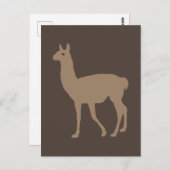 Llama Briefkaart (Voorkant / Achterkant)