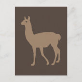 Llama Briefkaart (Voorkant)